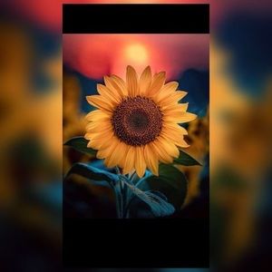 Meet your Posher, Jasmín